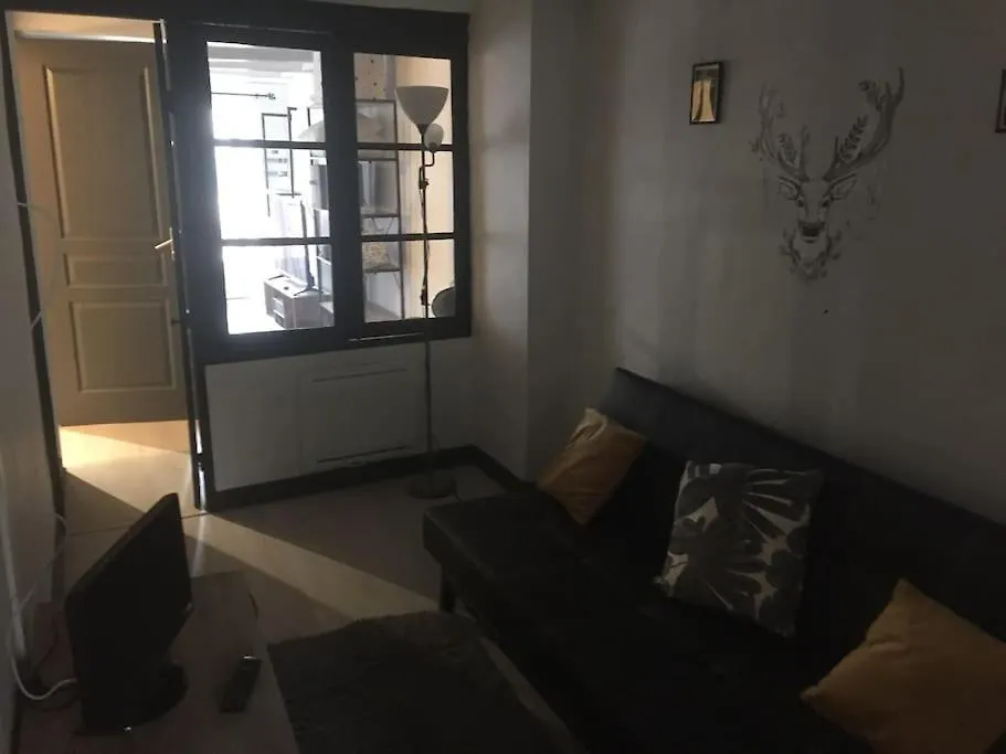 Tres Jolie Appartement Aiguilhe Apartment